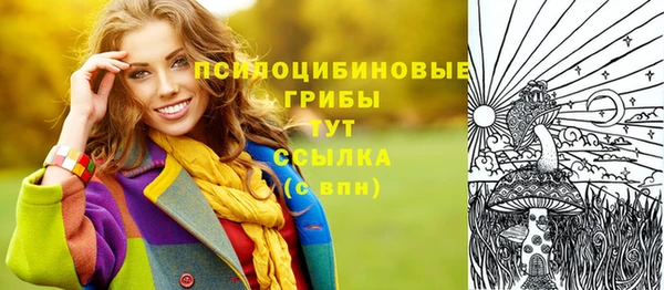 марки lsd Гусь-Хрустальный