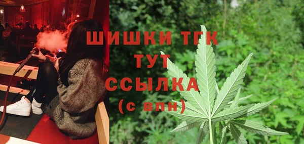 не бодяженный Гусев