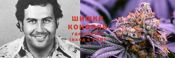 MDMA Горнозаводск