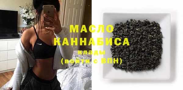 гидра Горно-Алтайск