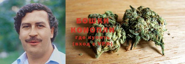 гидра Горно-Алтайск