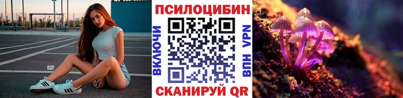 ОМГ ОМГ как войти Дмитровск Галлюциногенные грибы ЛСД